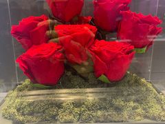 -ROSEONLY诺誓(青岛万象城店)