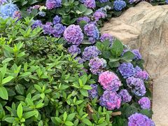 -广州市白云山风景名胜区