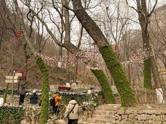 -云丘山景区