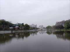 -月湖风景区