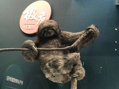 -国家自然博物馆