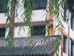 -乐山乌木文化博览苑