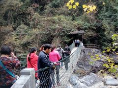 -石台牯牛降景区