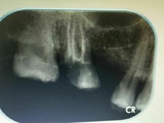 -泰康拜博口腔(世博园乐尔店)
