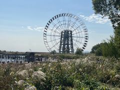 -苏州太湖湖滨国家湿地公园