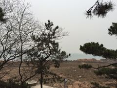 -八大关景区