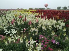 -歌斐颂巧克力小镇