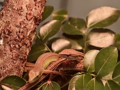 -上海昆虫博物馆