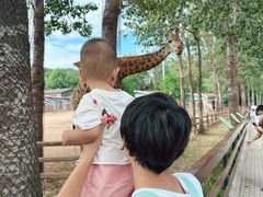 -大连森林动物园