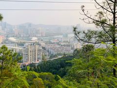 -狐尾山公园