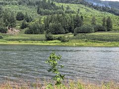 -观音阁水库风景区
