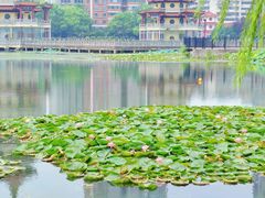 -宝岛公园