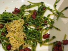 -青花椒花椒鱼(合生汇店)