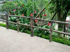 -楠柏弯休闲山庄(梨花溪店)