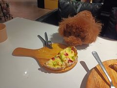 -百好乐宠物友好餐厅(朝外大街店)