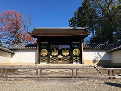 -醍醐寺