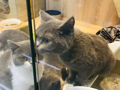 -米卢宠物公园(广华居店)