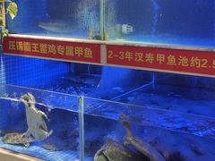 -王捌小院(红花坡店)