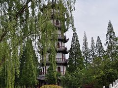 -桃花岛公园