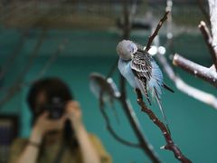-上海大自然野生昆虫馆(东方明珠·爬宠昆虫探索中心)