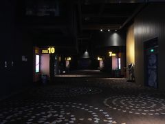 -万达影城(南昌西湖IMAX店)