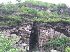 -六里坪国家森林公园