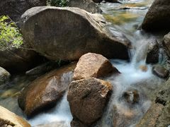 -广州白江湖森林公园