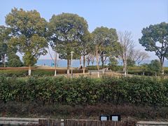 -苏州阳澄半岛英迪格酒店