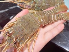 -淡尾·海鲜自助概念餐厅(虹桥南丰城店)