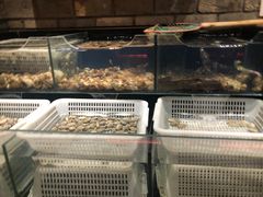 -日丰园海肠水饺·老字号大连海鲜(和平广场店)