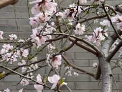 -安定门(地铁站)