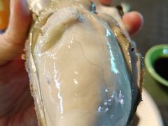 -八一湛江生蚝(文明东路总店)