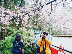 -醍醐寺