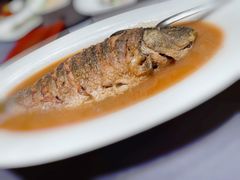 红烧黄河大鲤鱼-阿庄新豫菜(航海东路店)