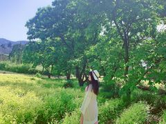 -帐篷客·溪龙茶谷度假酒店