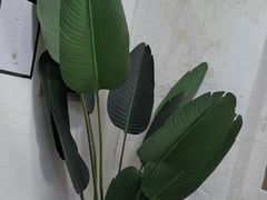 -红像馆连锁精致证件照职场照(中关村店)