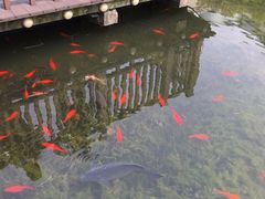 -苏州河梦清园环保主题公园