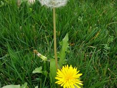 -森居forest休闲咖啡聚集地