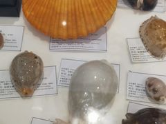 -济南恒隆广场