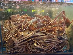 板蟹-蟹之国·精品蟹料理(极地店)