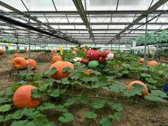 -兰陵国家农业公园