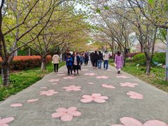 -高东镇樱花园