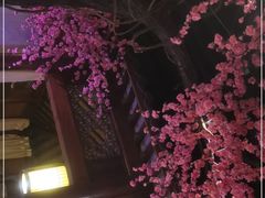 -韵秋荷(宝山龙湖天街店)