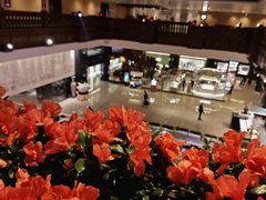 -广州花园酒店