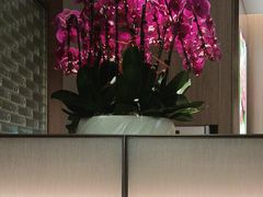 -海底捞火锅(高科广场店)