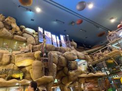 点击看大图 -卡通尼·Safari非洲探索乐园·生日会(金桥国际商业广场店)