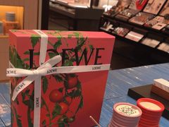 -LOEWE罗意威(北京SKP女装店(一层))
