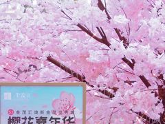 -金茂览秀城