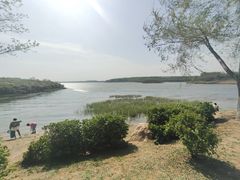 -丁香湖公园