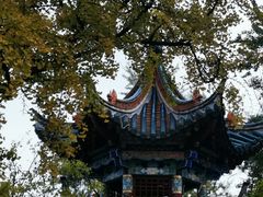 -翠湖公园